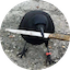 crow with knife